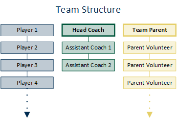 Team structure